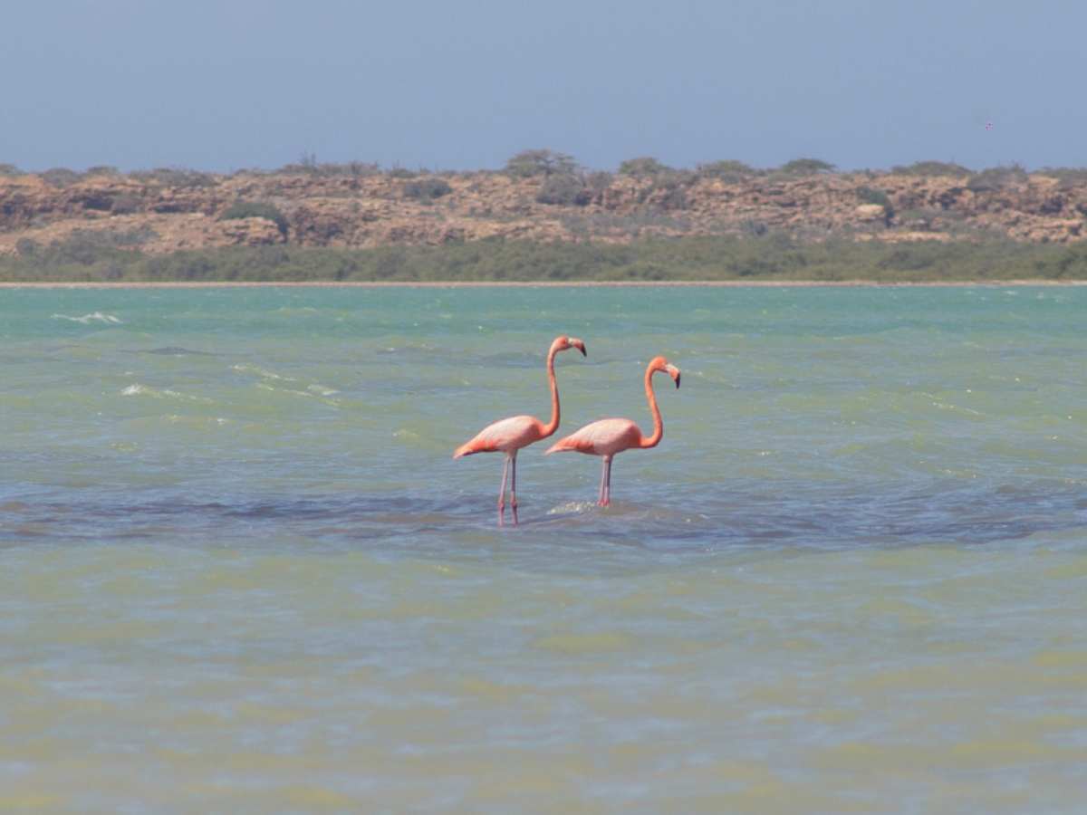 Magical Adventure in Alta Guajira