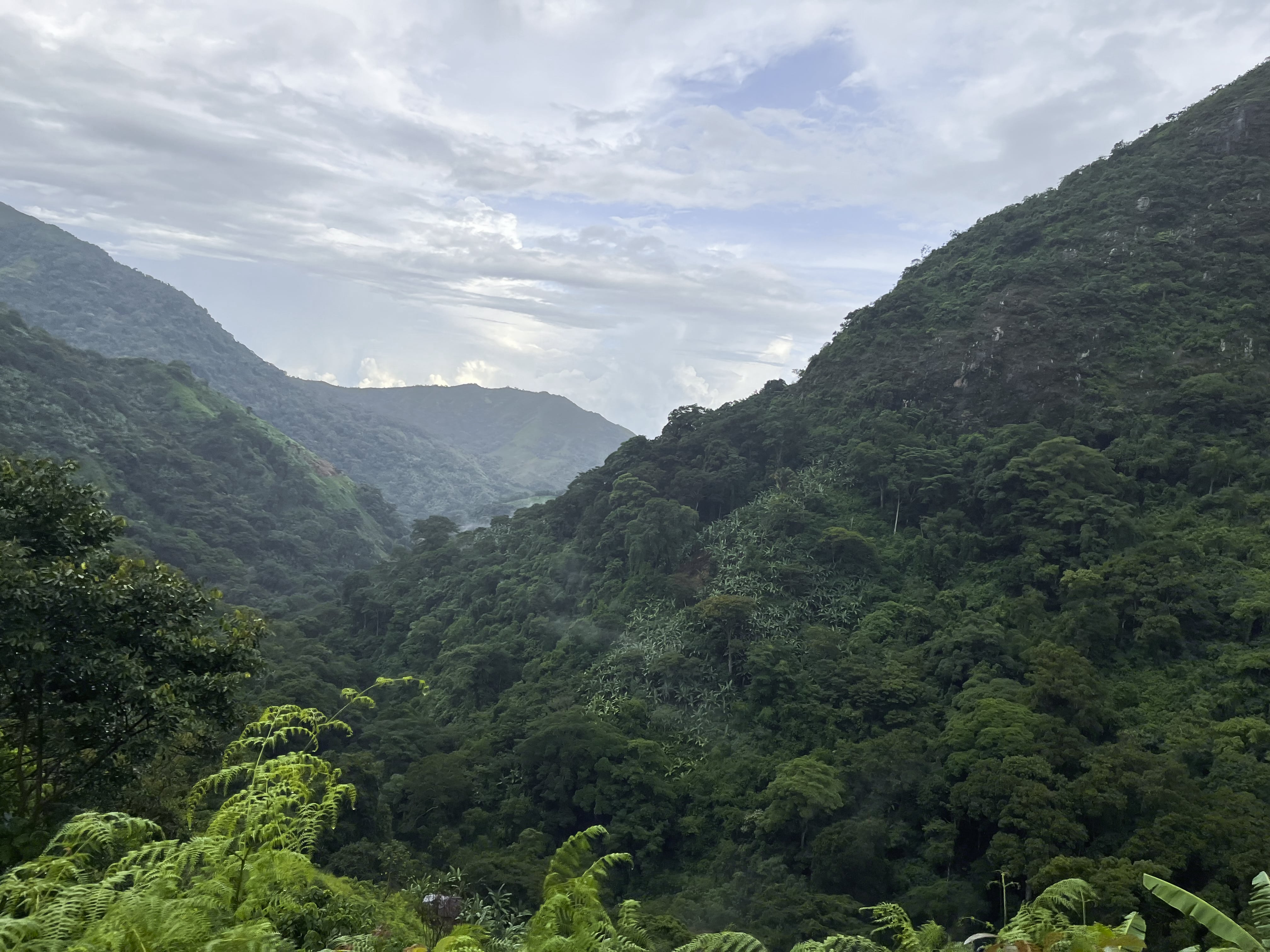 Indigenous Communities: Guardians of the Planet's Biodiversity