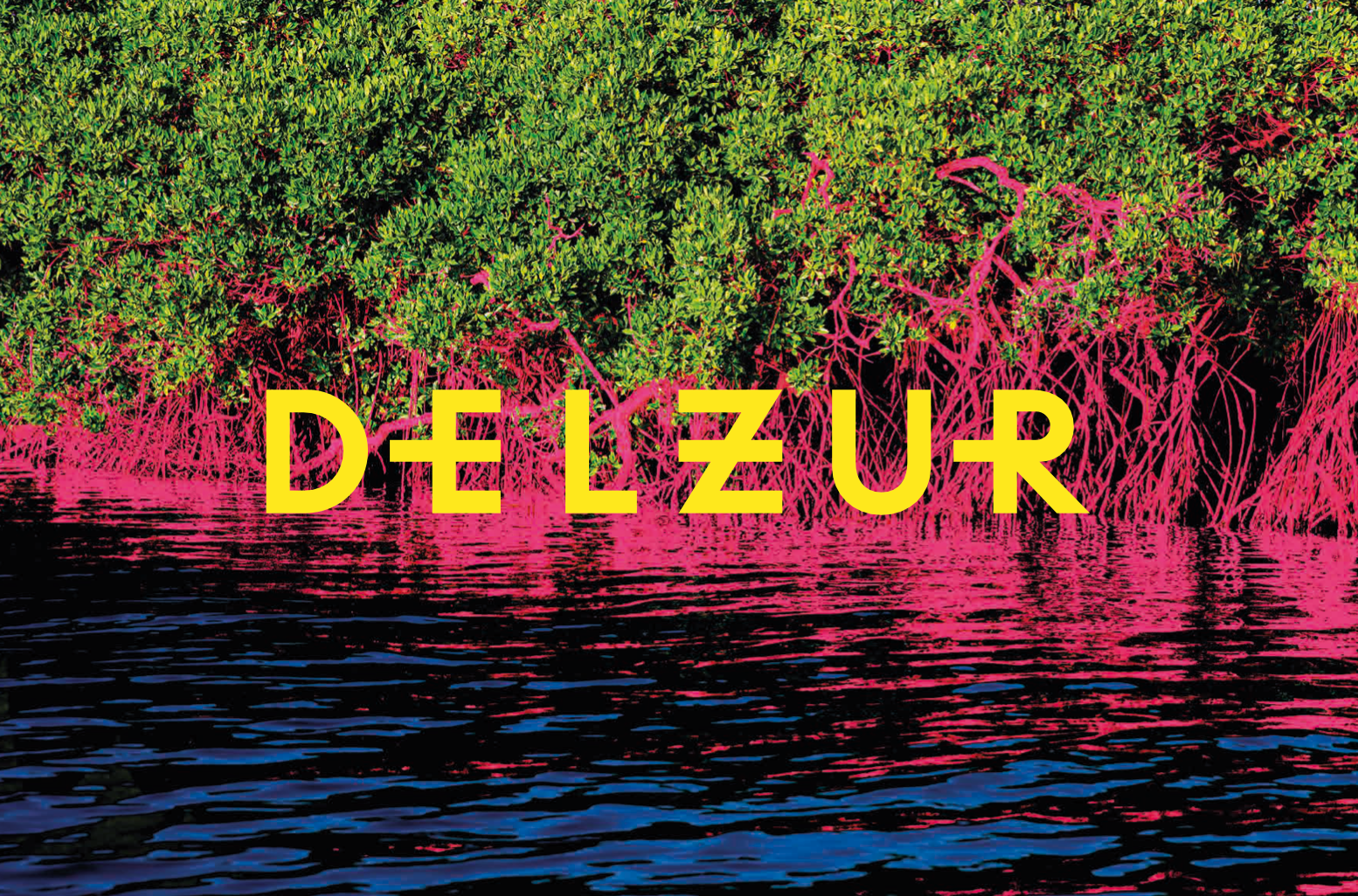 Mangrove Planting in Bahía Hondita