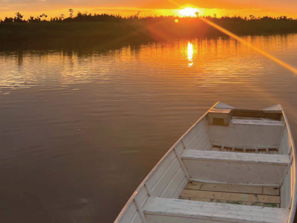 Deep Amazon: Into the Wild