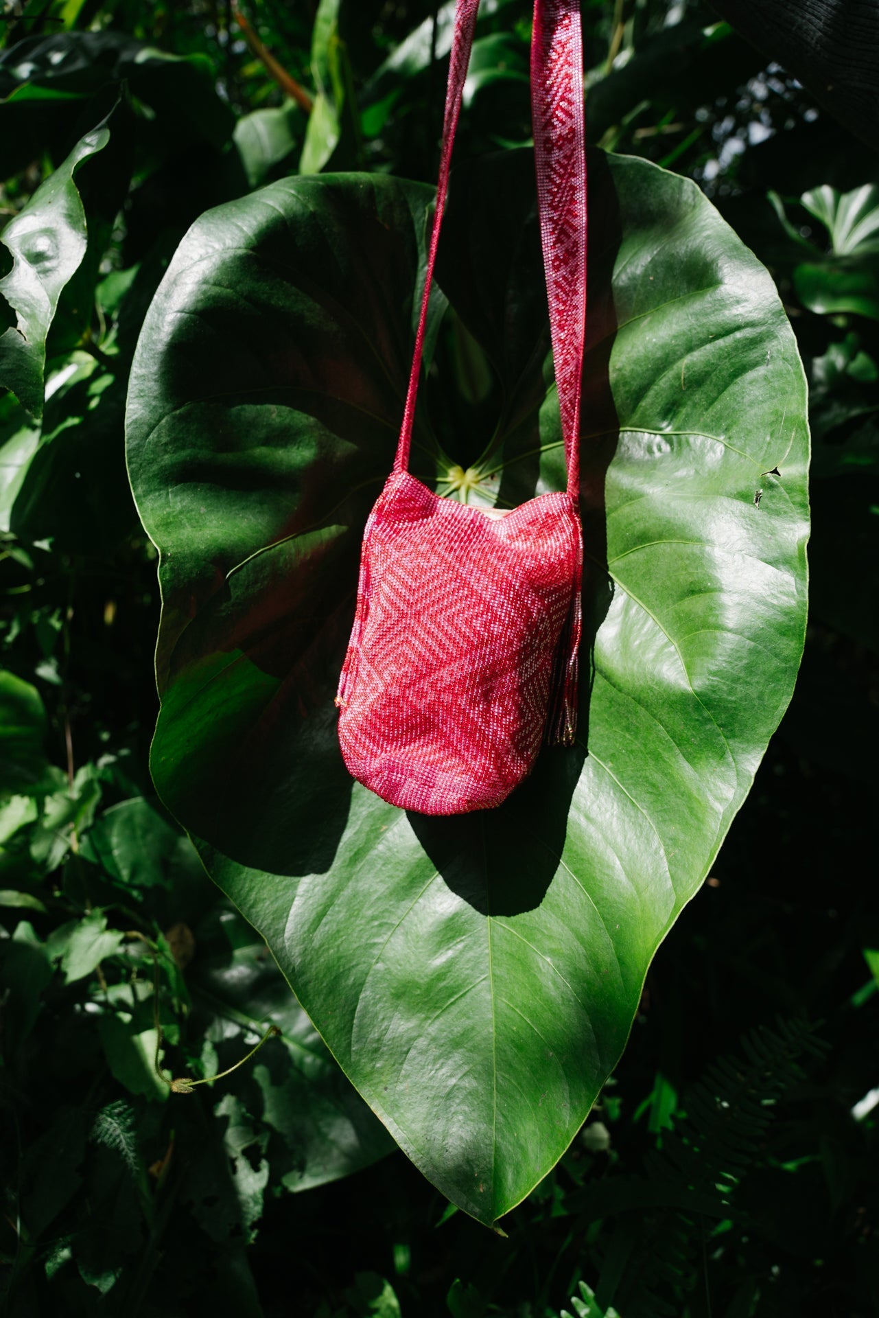 Betsknate: A Celebration of Reconciliation with Mother Earth and Indigenous Wisdom