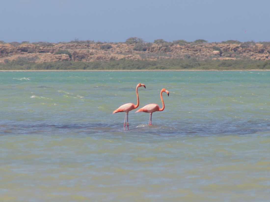 Magical Adventure in Alta Guajira