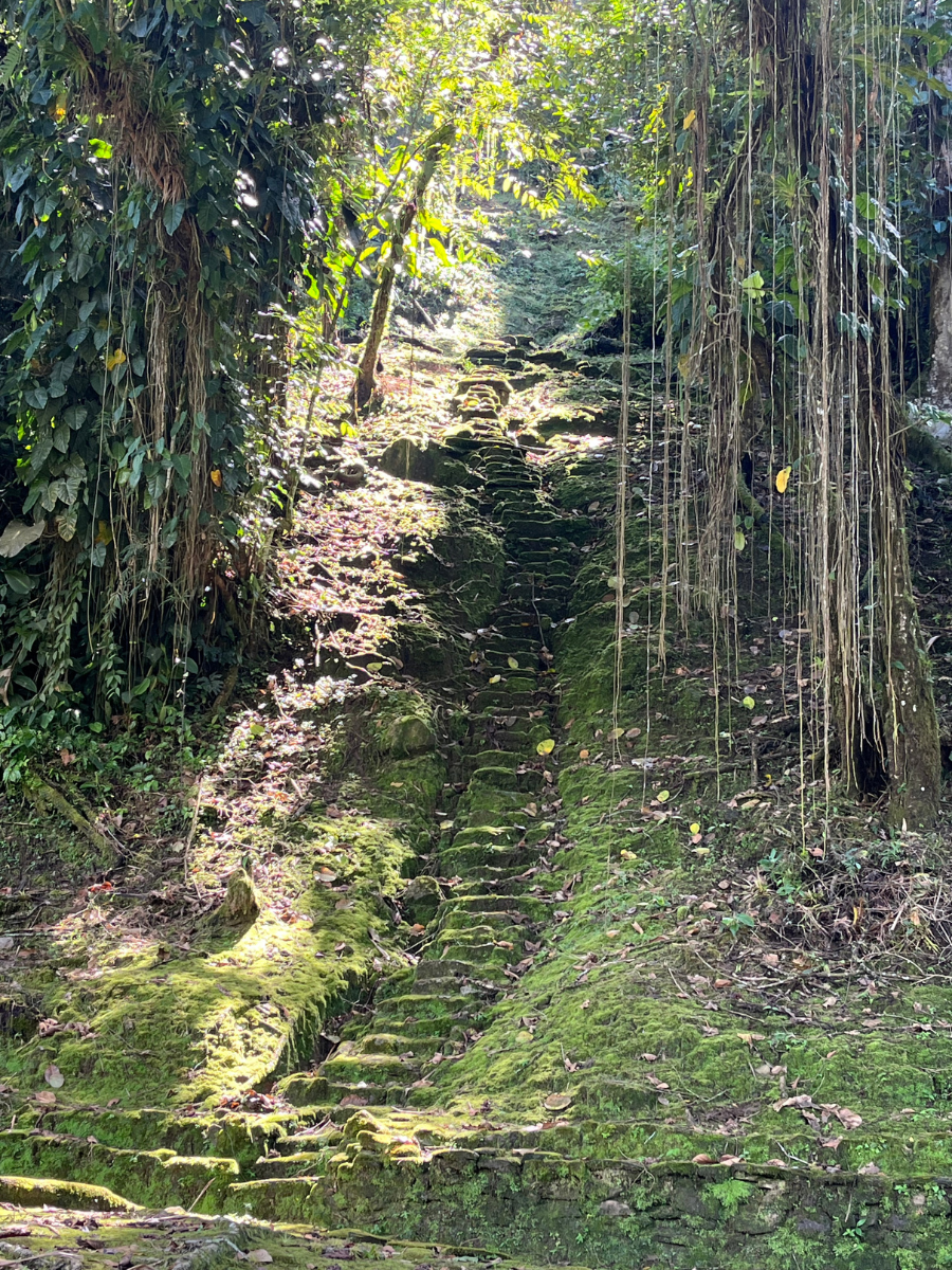 The Path to the Heart of the Earth