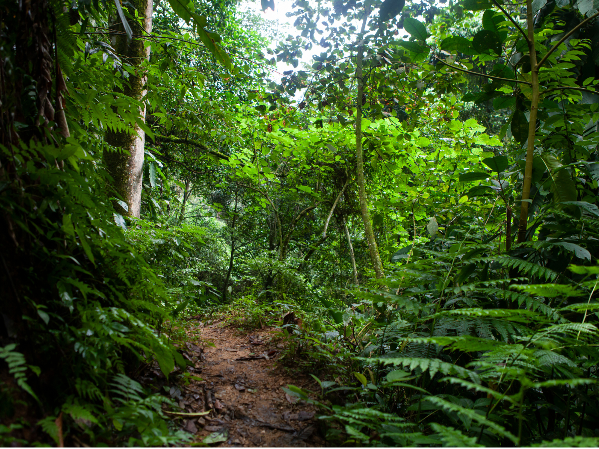 Ancestral Journey with Kamentsa People